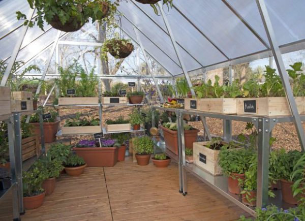MAZE TWINWALL ROOF 8’X8′ GREENHOUSE 2.4mx2.4m - Image 5