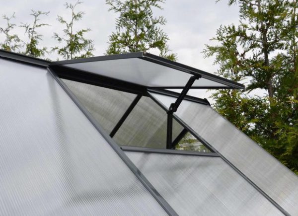HYBRID GREY GREENHOUSE - Image 5