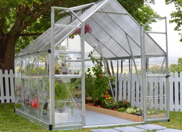 MAZE TWINWALL ROOF 8’X8′ GREENHOUSE 2.4mx2.4m - Image 8