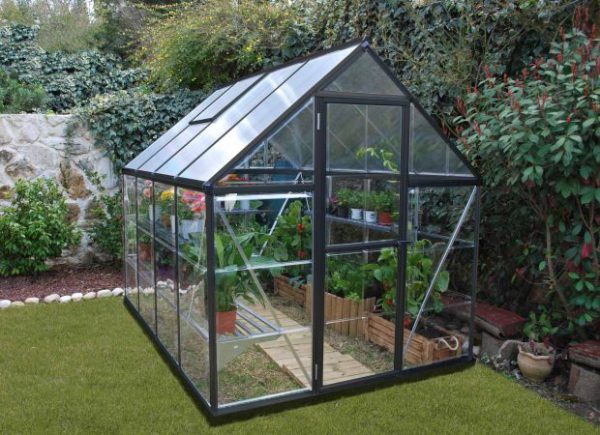 HYBRID GREY GREENHOUSE