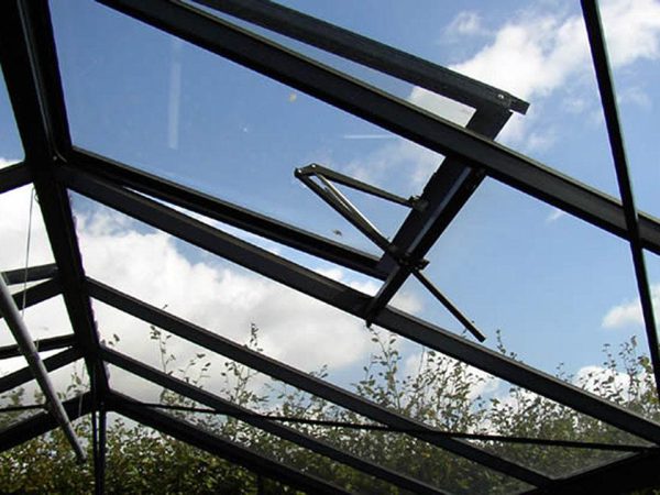 Cathedral Victorian Greenhouse - Image 7