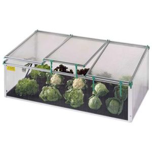 BioStar Premium Cold Frame