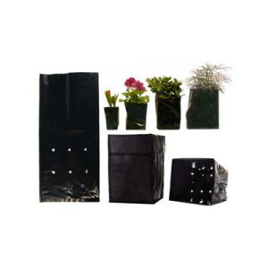 Grow Bags