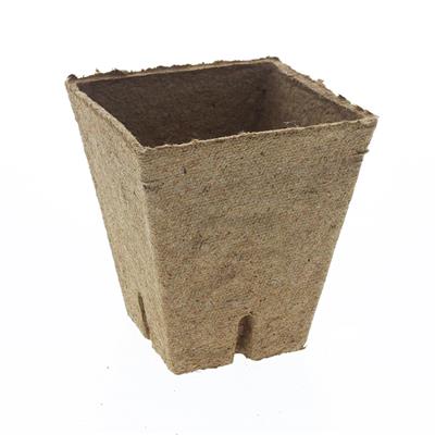 Jiffy Peat Pots | 25 Pack - Image 6