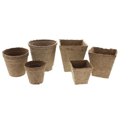 Jiffy Peat Pots | 25 Pack