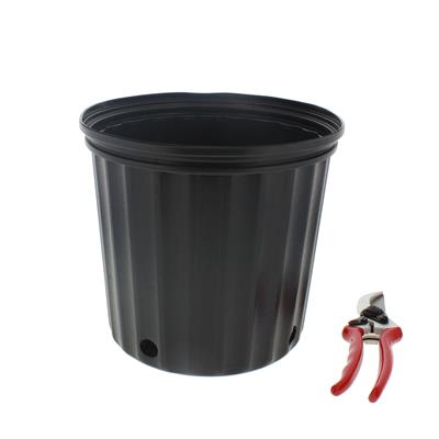 Elite Nursery Containers | 10 Pack - Image 3
