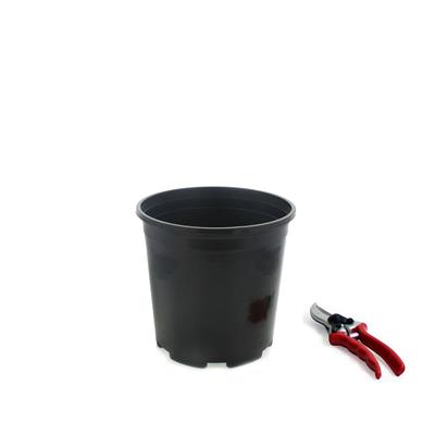 Injection Molded Nursery Containers - Image 3