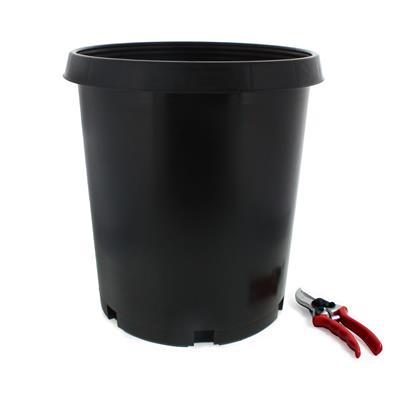 Injection Molded Nursery Containers - Image 2