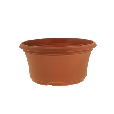 Panterra Bowls | 10 Pack - Image 3