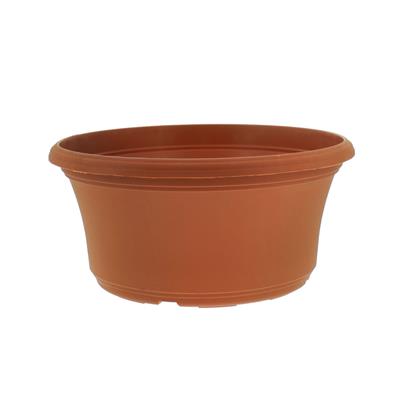 Panterra Bowls | 10 Pack - Image 4
