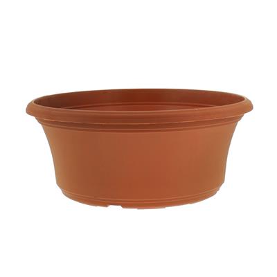 Panterra Bowls | 10 Pack - Image 5