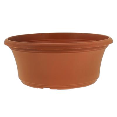 Panterra Bowls | 10 Pack - Image 6