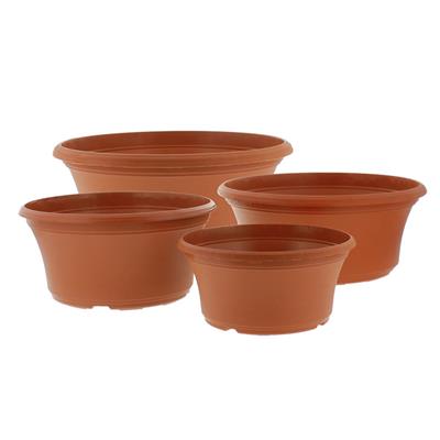 Panterra Bowls | 10 Pack