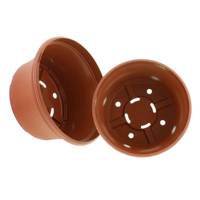 Panterra Bowls | 10 Pack - Image 2