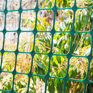 Garden Fence
