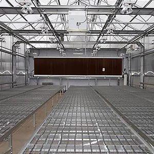 Greenhouse Growing
