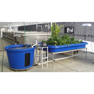 Aquaponic System - Image 2