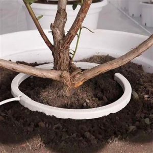 NetBow Watering Ring
