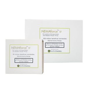 Nemaforce SF for Gnat Control