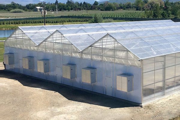 GABLE SERIES