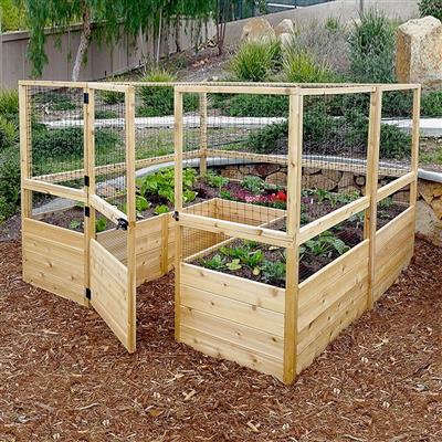 Garden in a Box - Image 4