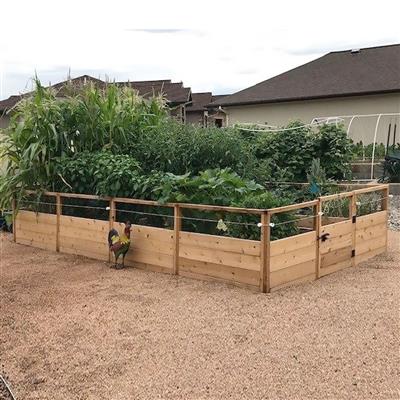 Garden in a Box - Image 6