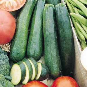 Squash Dark Green Zucchini, Seed Packet
